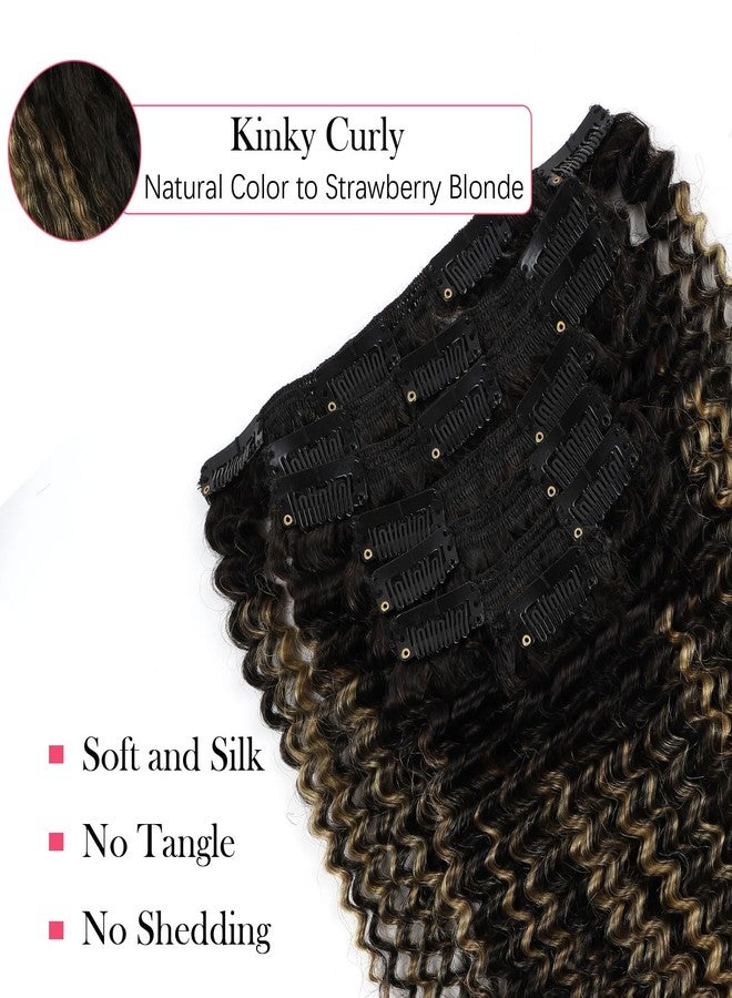 Sassina 3C 4A Kinky Curly Clip in Hair Extensions for Black Women Full Head Clip ins Human Hair Extensions Natural Black Fading to Strawberry Blonde 14 Inch 120 Gram 7 Pcs with 17 Clips #T1B/1BP27 - Image 3